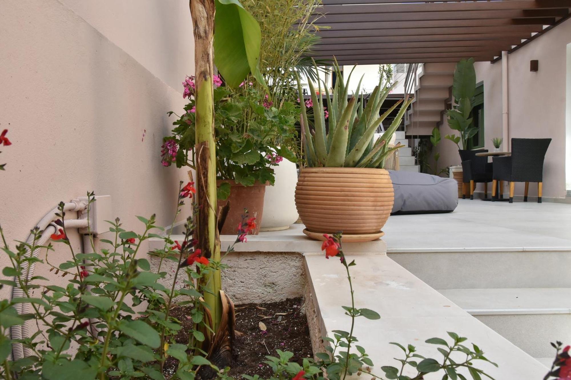 فندق Casa Enetiko خانيا المظهر الخارجي الصورة